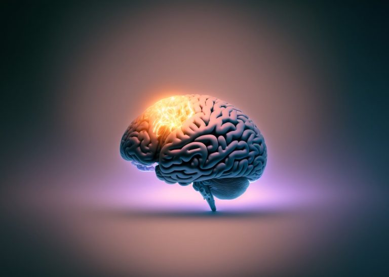 StockSnap_5NLKT00MVB