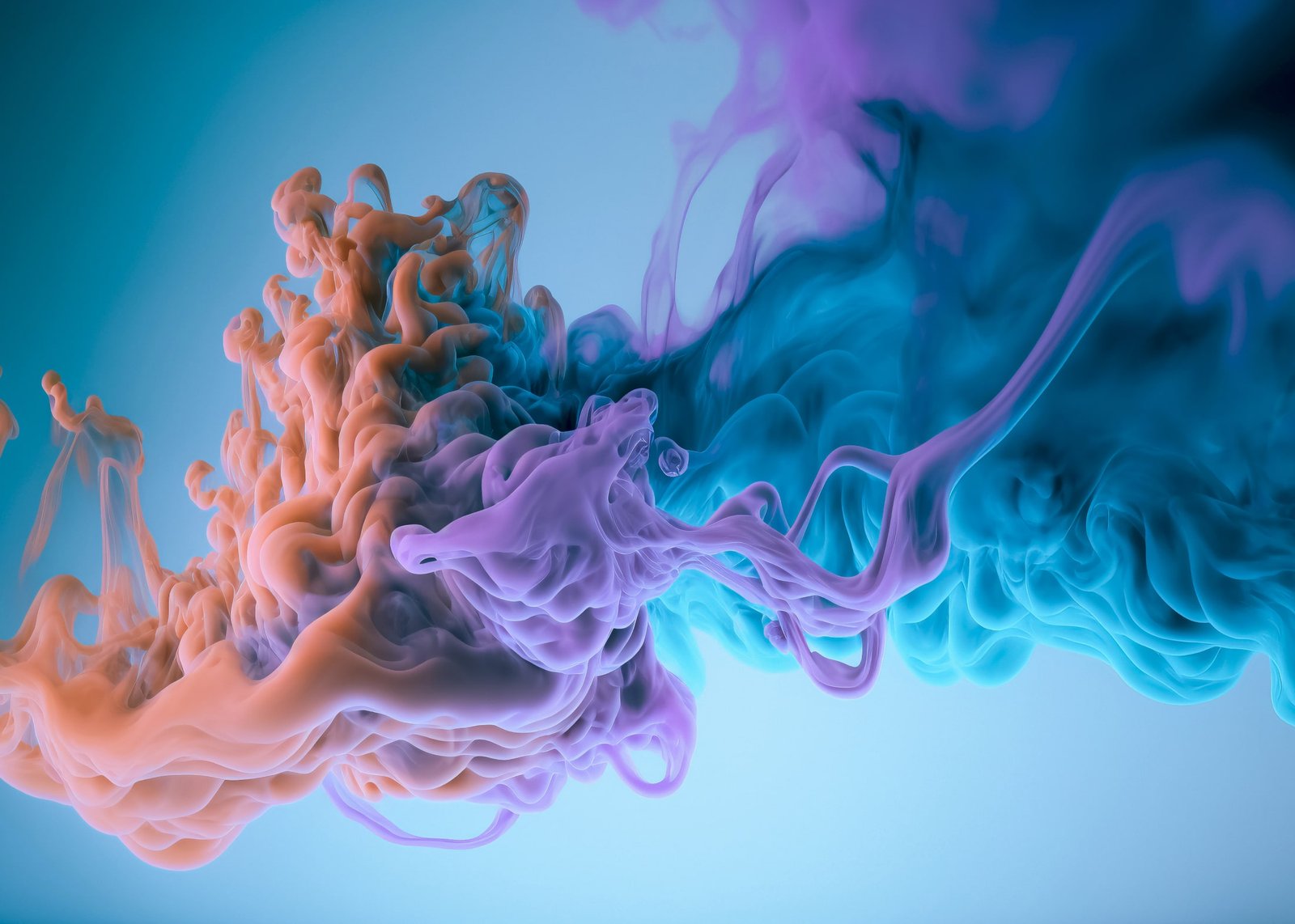 StockSnap_DBHIOSA9CB