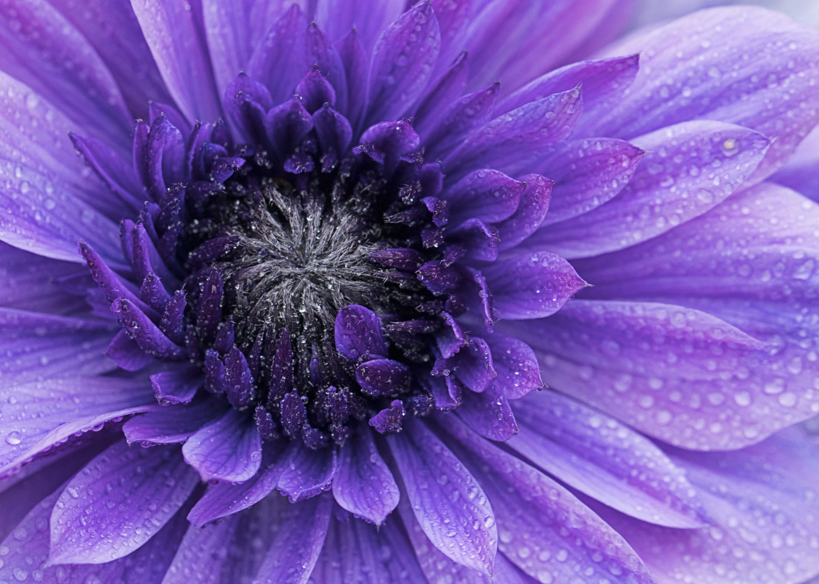 StockSnap_HONVZ0WVNU